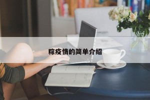 粽疫情的简单介绍